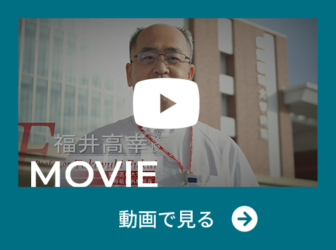 動画で見る